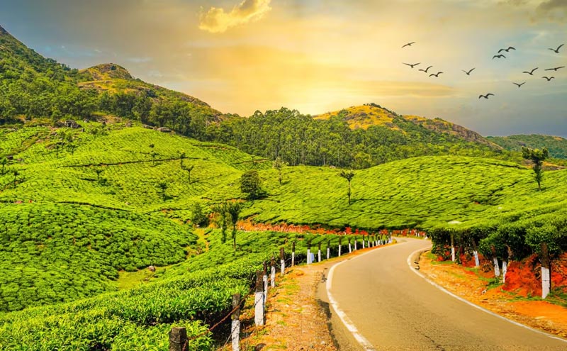 Incredible Kerala